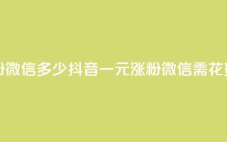 抖音一元涨粉1000微信多少 - 抖音一元涨粉1000微信需花费多少~