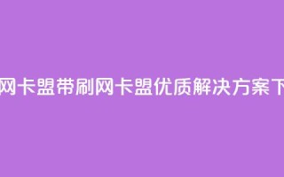 qq带刷网卡盟(qq带刷网卡盟-优质解决方案)
