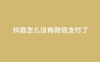 抖音怎么没有微信支付了,24小时收购支付宝实名账号 - 抖音60级号能卖多少钱 - 低价vip会员发卡网