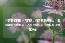 抖音直播间挂人气网站，抖音直播间爆火！揭秘如何在直播间挂人气网站亿乐社区低价自营货源站