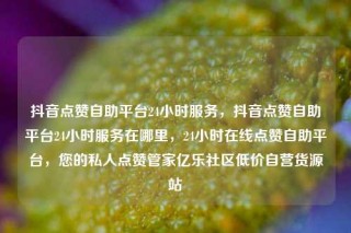 抖音点赞自助平台24小时服务，抖音点赞自助平台24小时服务在哪里，24小时在线点赞自助平台，您的私人点赞管家亿乐社区低价自营货源站