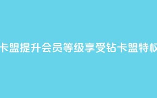 QQ会员钻卡盟 - 提升QQ会员等级，享受钻卡盟特权!