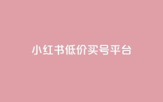 小红书低价买号平台,网红云商app官方下载 - 卡盟的货源都是哪里来的 - qq自助平台下单