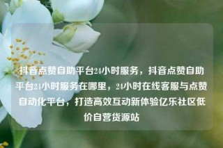 抖音点赞自助平台24小时服务，抖音点赞自助平台24小时服务在哪里，24小时在线客服与点赞自动化平台，打造高效互动新体验亿乐社区低价自营货源站