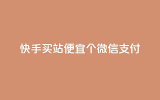 快手买站便宜100个微信支付,黑马卡盟网 - 拼多多自动助力脚本 - 商谈砍价记录