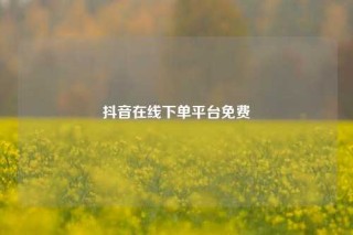 抖音在线下单平台免费