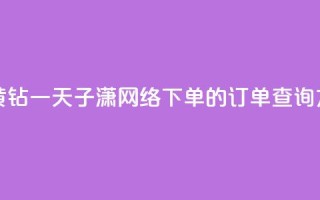 免费领取黄钻一天 - 子潇网络下单的订单查询方法