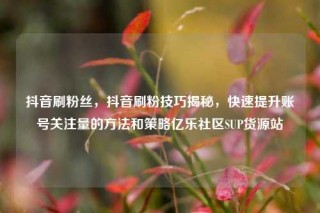 抖音刷粉丝，抖音刷粉技巧揭秘，快速提升账号关注量的方法和策略亿乐社区SUP货源站