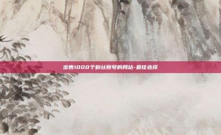 出售1000个粉丝账号的网站-最佳选择