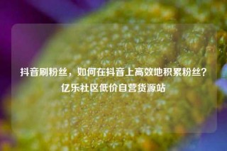 抖音刷粉丝，如何在抖音上高效地积累粉丝？亿乐社区低价自营货源站
