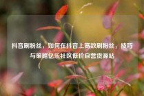 抖音刷粉丝，如何在抖音上高效刷粉丝，技巧与策略亿乐社区低价自营货源站