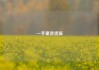 一手童装货源