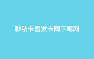 秒钻卡盟 - 1799发卡网