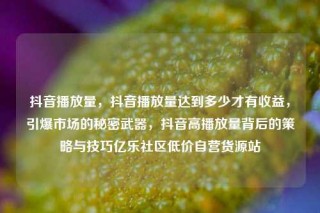 抖音播放量，抖音播放量达到多少才有收益，引爆市场的秘密武器，抖音高播放量背后的策略与技巧亿乐社区低价自营货源站