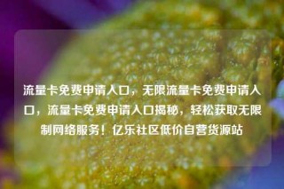 流量卡免费申请入口，无限流量卡免费申请入口，流量卡免费申请入口揭秘，轻松获取无限制网络服务！亿乐社区低价自营货源站