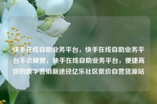 快手在线自助业务平台，快手在线自助业务平台不会掉赞，快手在线自助业务平台，便捷高效的数字营销新途径亿乐社区低价自营货源站