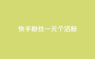 快手粉丝一元1000个活粉 - 获取1000个快手活粉只需1元！