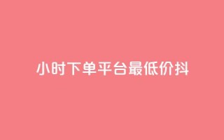 24小时下单平台最低价抖,子潇网络老马低价下单 - 24小时下单平台最低价 - qq空间访客量增加网站