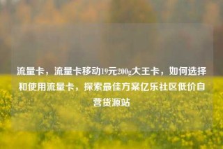 流量卡，流量卡移动19元200g大王卡，如何选择和使用流量卡，探索最佳方案亿乐社区低价自营货源站