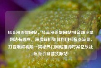 抖音涨流量网站，抖音涨流量网站,抖音涨流量网站有哪些，深度解析如何利用抖音涨流量，打造爆款视频—揭秘热门网站推荐方案亿乐社区低价自营货源站
