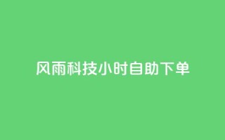 风雨科技24小时自助下单,qq说说赞在线自助下单网站 - 24小时业务在线下单 - 全网下单业务最便宜
