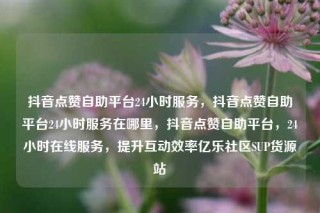 抖音点赞自助平台24小时服务，抖音点赞自助平台24小时服务在哪里，抖音点赞自助平台，24小时在线服务，提升互动效率亿乐社区SUP货源站
