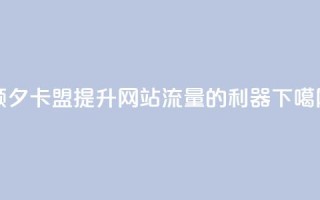 颜夕卡盟——提升网站流量的利器