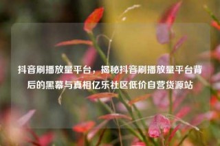 抖音刷播放量平台，揭秘抖音刷播放量平台背后的黑幕与真相亿乐社区低价自营货源站