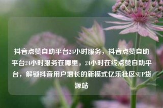 抖音点赞自助平台24小时服务，抖音点赞自助平台24小时服务在哪里，24小时在线点赞自助平台，解锁抖音用户增长的新模式亿乐社区SUP货源站