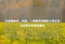 抖音刷粉丝，抖音，一场疯狂的刷粉之旅亿乐社区低价自营货源站