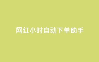 网红24小时自动下单助手,天创卡盟 - qq空间说说访问量 - QQ业务自助网