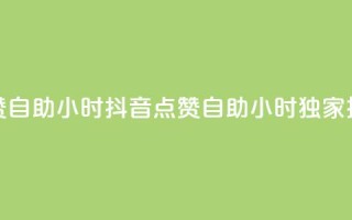 抖音点赞自助24小时(抖音点赞自助24小时  独家技巧分享)
