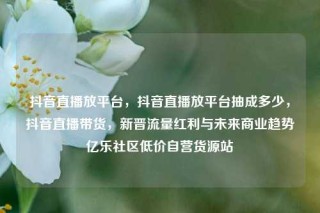 抖音直播放平台，抖音直播放平台抽成多少，抖音直播带货，新晋流量红利与未来商业趋势亿乐社区低价自营货源站