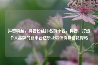 抖音粉丝，抖音粉丝排名前十名，抖音，打造个人品牌的新平台亿乐社区低价自营货源站