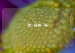 吃一碗倒一碗