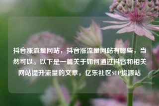 抖音涨流量网站，抖音涨流量网站有哪些，当然可以。以下是一篇关于如何通过抖音和相关网站提升流量的文章，亿乐社区SUP货源站
