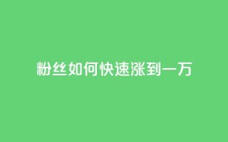 粉丝如何快速涨到一万,ks在线业务 - 哔站业务自助 - dy低价下单平台最便宜