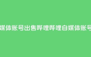 哔哩哔哩自媒体账号出售(哔哩哔哩自媒体账号转让)