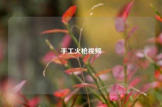 手工火枪视频