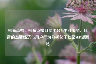 抖音点赞，抖音点赞自助平台24小时服务，抖音的点赞经济与用户行为分析亿乐社区SUP货源站
