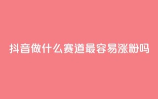 抖音做什么赛道最容易涨粉吗,冰天卡盟 - 点赞下单平台 - 云小店买10赞