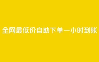 全网最低价：自助下单一小时到账