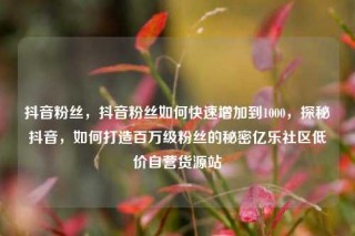 抖音粉丝，抖音粉丝如何快速增加到1000，探秘抖音，如何打造百万级粉丝的秘密亿乐社区低价自营货源站