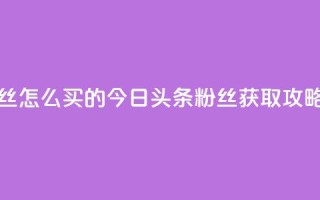 今日头条粉丝怎么买的 - 今日头条粉丝获取攻略分享!