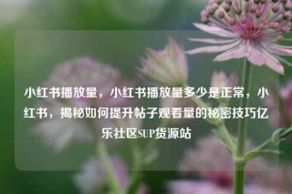 小红书播放量，小红书播放量多少是正常，小红书，揭秘如何提升帖子观看量的秘密技巧亿乐社区SUP货源站