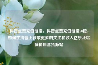 抖音点赞充值链接，抖音点赞充值链接50赞，如何在抖音上获取更多的关注和收入亿乐社区低价自营货源站