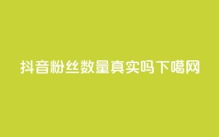抖音粉丝数量真实吗？