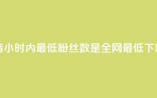 抖音24小时内最低粉丝数是全网最低