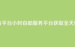 dy24小时自助服务平台(24小时自助服务平台：获取全天候服务)