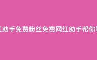 网红助手免费粉丝(免费网红助手帮你吸粉)